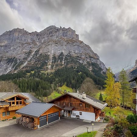 Chalet Ribi جريندلوالد المظهر الخارجي الصورة