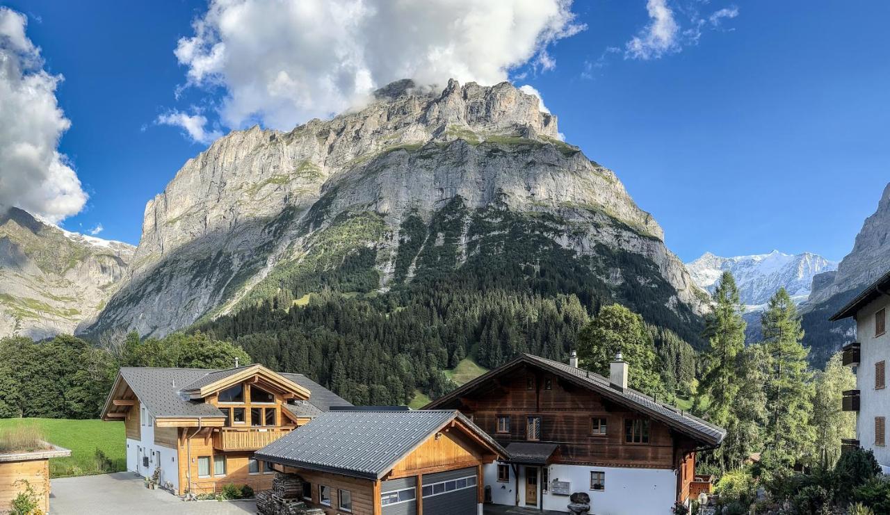 Chalet Ribi جريندلوالد المظهر الخارجي الصورة